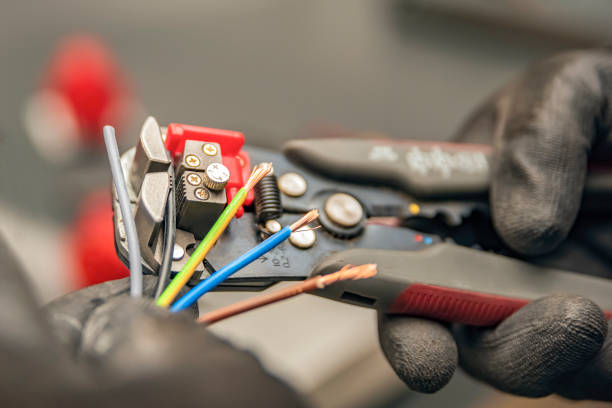 Best Electric Panel Repair  in Flemington, GA