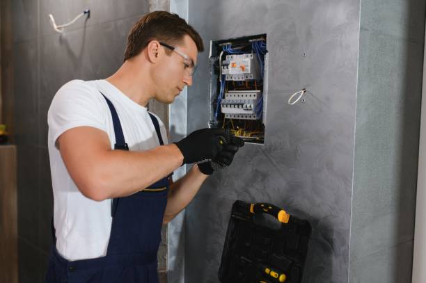 Best Electric Panel Repair  in Flemington, GA